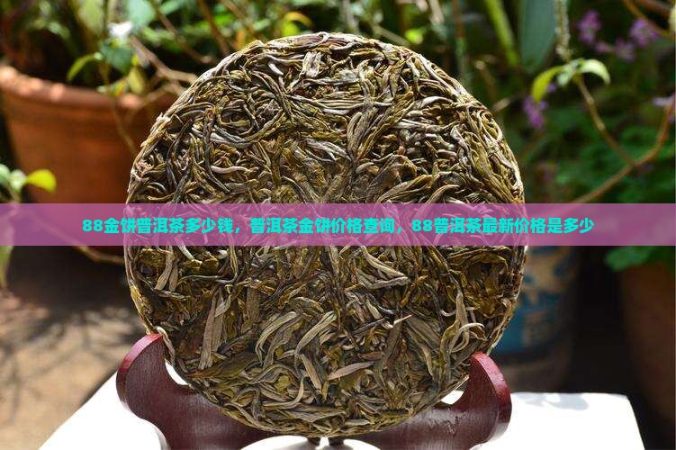 88金饼普洱茶