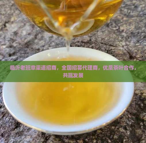 临沂老班章渠道招商