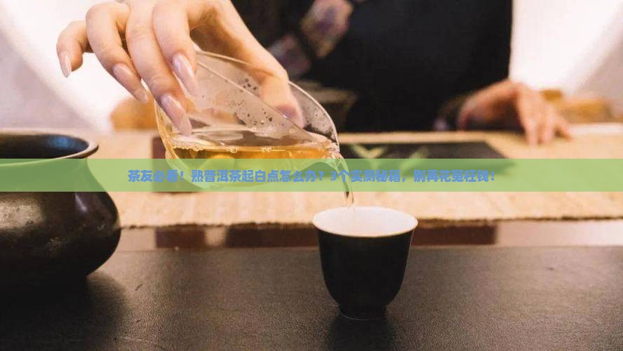 熟普洱茶起白点