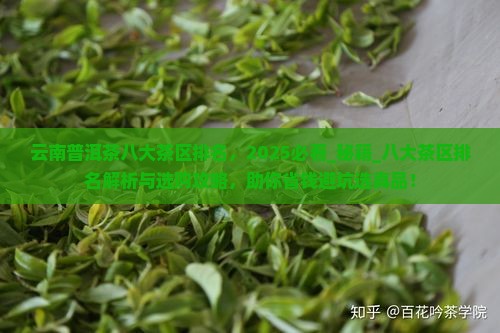 云南普洱茶八大茶区排名