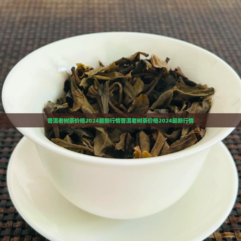 普洱老树茶价格