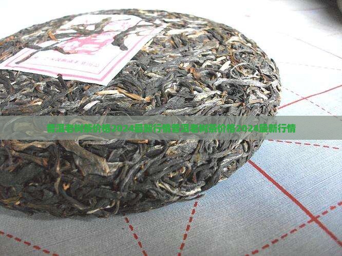 普洱老树茶价格