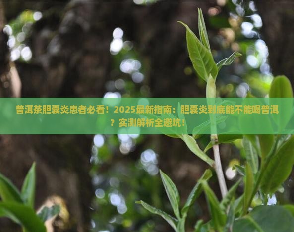 普洱茶胆囊炎能喝吗