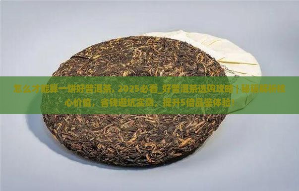 怎么才能算一饼好普洱茶