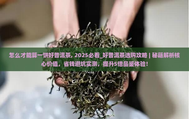 怎么才能算一饼好普洱茶