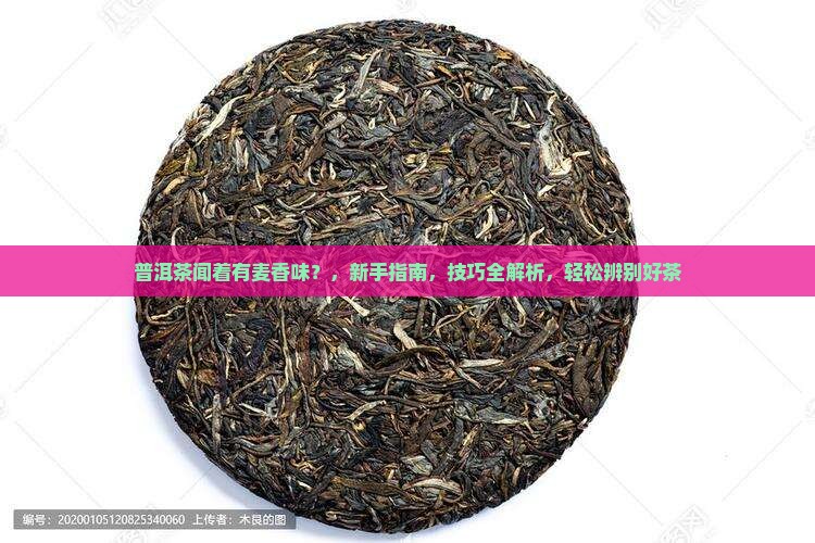 普洱茶闻着有麦香味