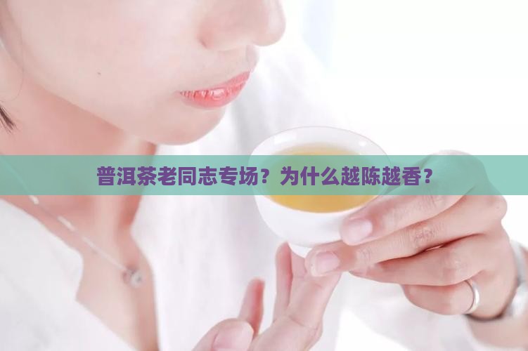 普洱茶老同志专场