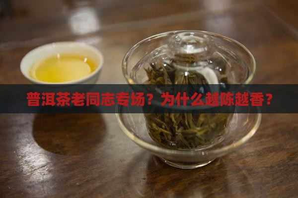 普洱茶老同志专场