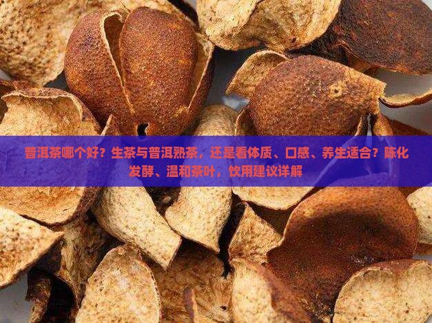 普洱茶生和熟哪个好