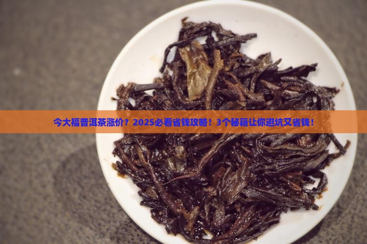 今大福普洱茶涨价