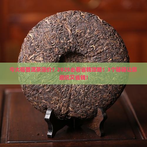 今大福普洱茶涨价