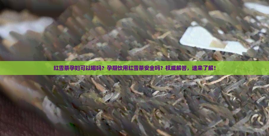 红雪茶孕妇可以喝吗