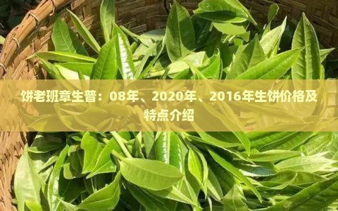 生肖饼老班章生普