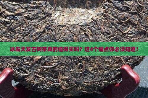 冰岛天发古树茶