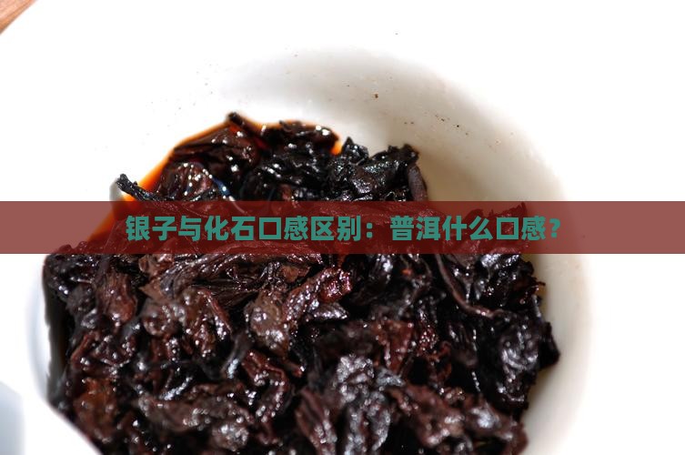 碎银子和茶化石口感的区别 碎银子和茶化石口感的区别