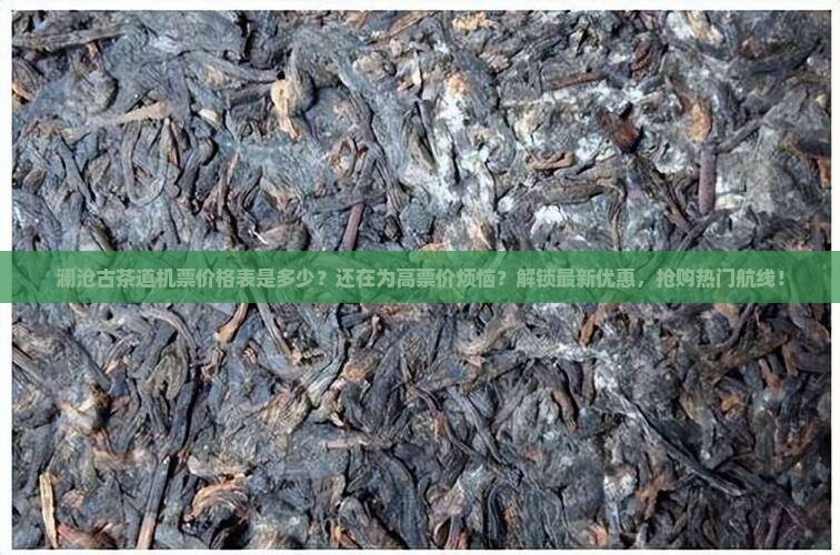 澜沧古茶道空价格表
