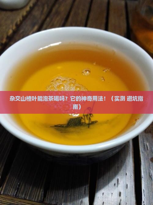 杂交山楂叶可以泡茶喝吗