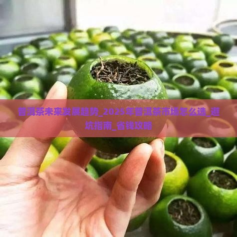 普洱茶未来发展趋势