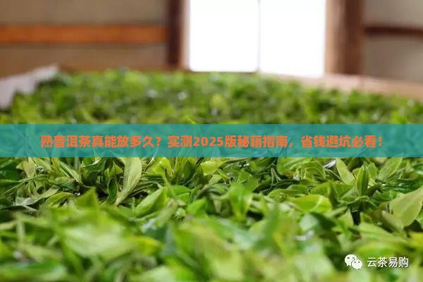 熟普洱茶一般能存放多久