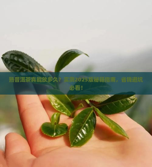 熟普洱茶一般能存放多久