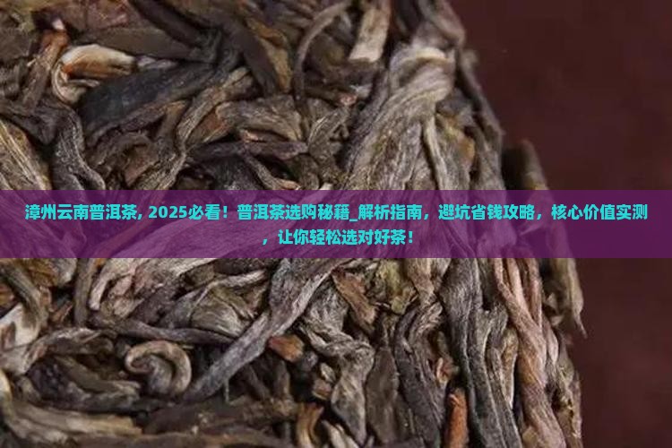 漳州云南普洱茶