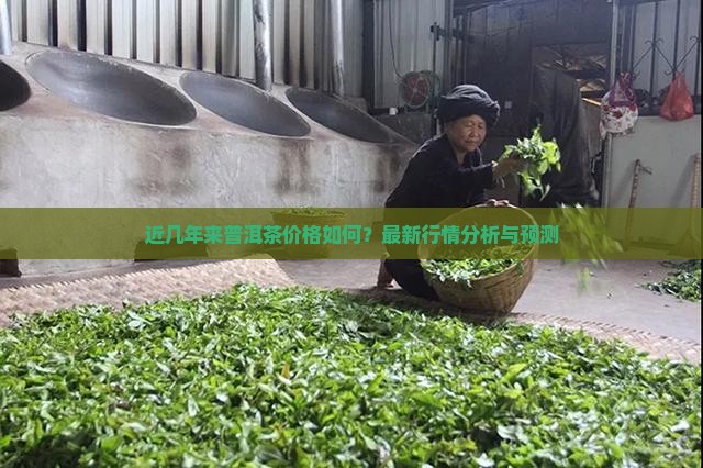 近几年来普洱茶价格