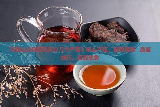 马鞍山古树普洱茶分几个产区