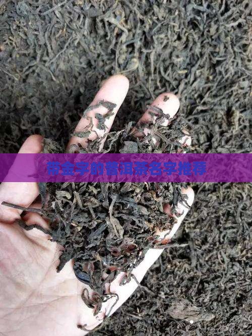 带金字的普洱茶名字