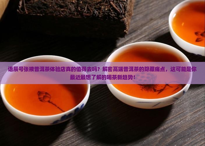 语辰号张掖普洱茶体验店