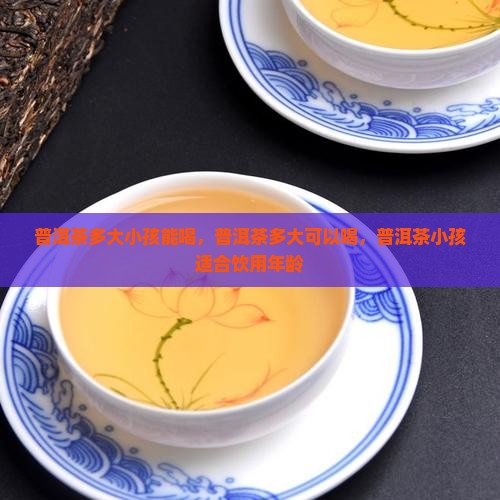 普洱茶多大小孩能喝