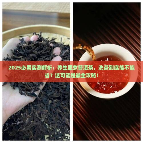 养生壶煮普洱茶要洗茶吗