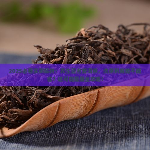 养生壶煮普洱茶要洗茶吗