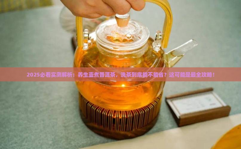 养生壶煮普洱茶要洗茶吗
