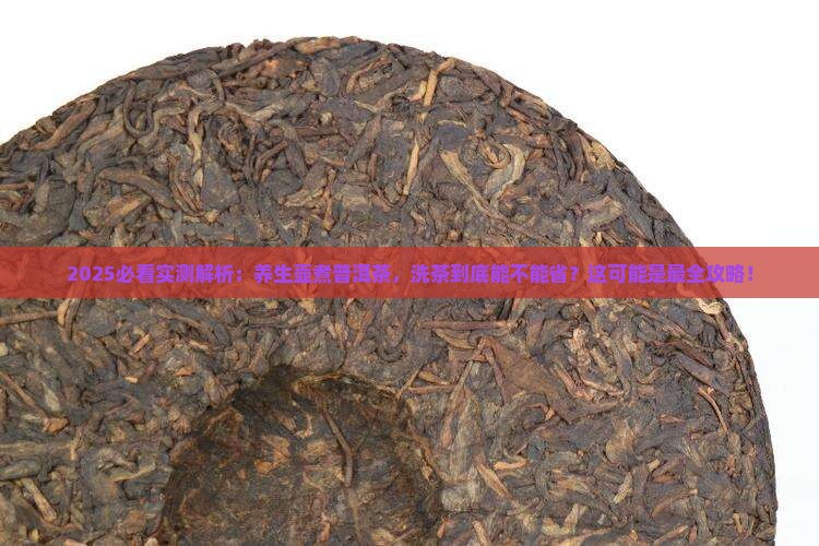 养生壶煮普洱茶要洗茶吗