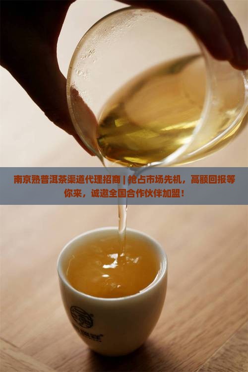 南京熟普洱茶渠道代理招商