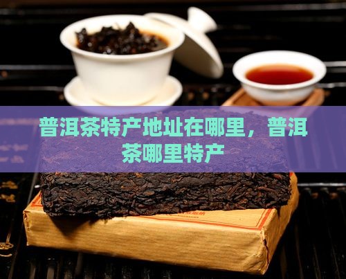 普洱茶特产地址