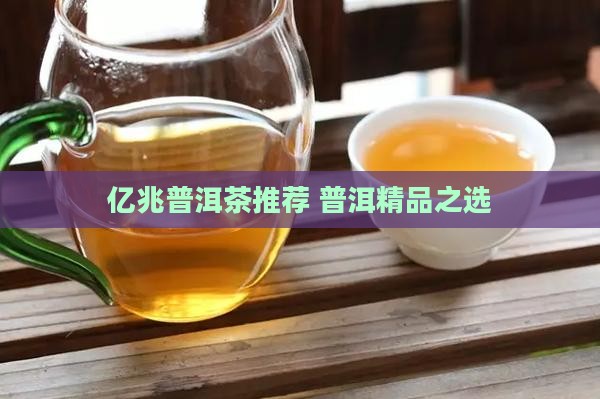 精品推荐亿兆丰号普洱茶