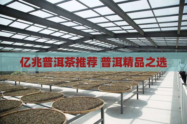 精品推荐亿兆丰号普洱茶