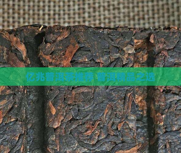 精品推荐亿兆丰号普洱茶