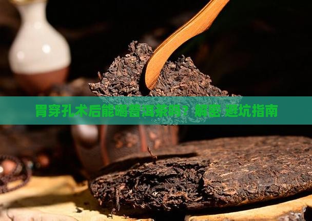 胃穿孔术后喝普洱茶吗