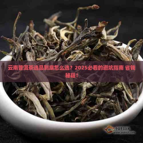 云南普洱茶选品