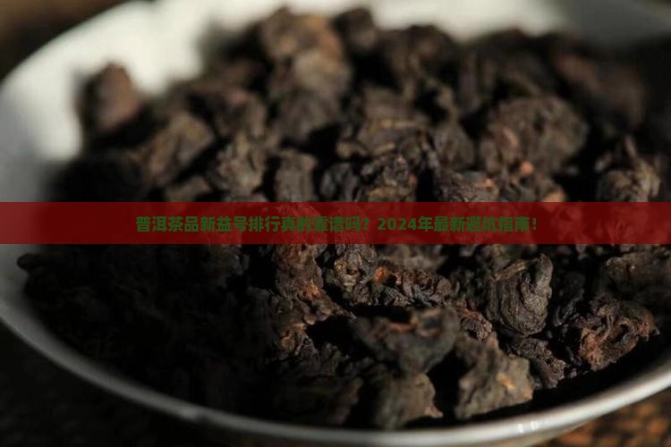 普洱茶品新益号排行
