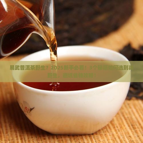 易武普洱茶野生