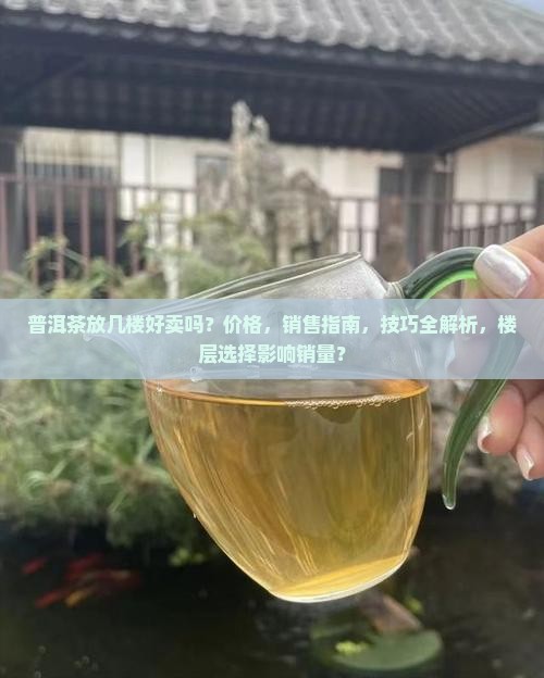 普洱茶放几楼好卖吗价格