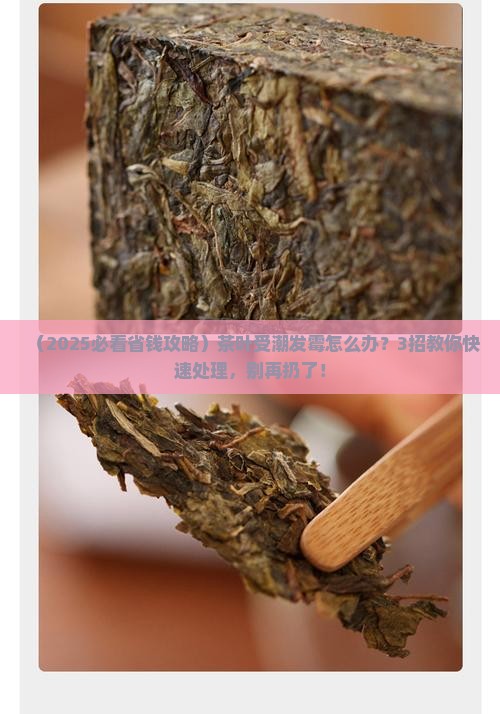 茶叶受潮发霉怎么处理