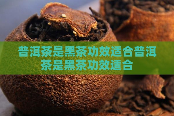 普洱茶是黑茶功效适合