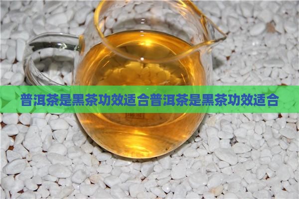 普洱茶是黑茶功效适合