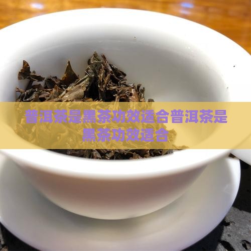 普洱茶是黑茶功效适合