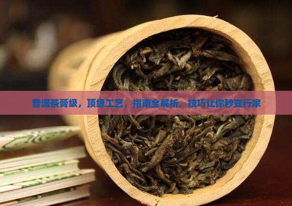 普洱茶膏大师级 普洱茶膏大师级