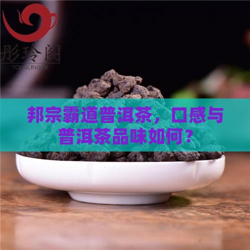邦宗霸道普洱茶好吗